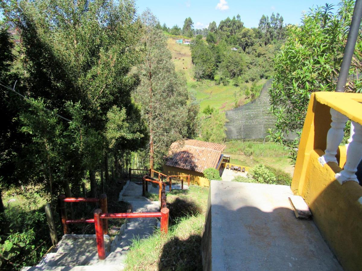 Vista Hermosa Eco Hostal Carmen de Viboral 外观 照片