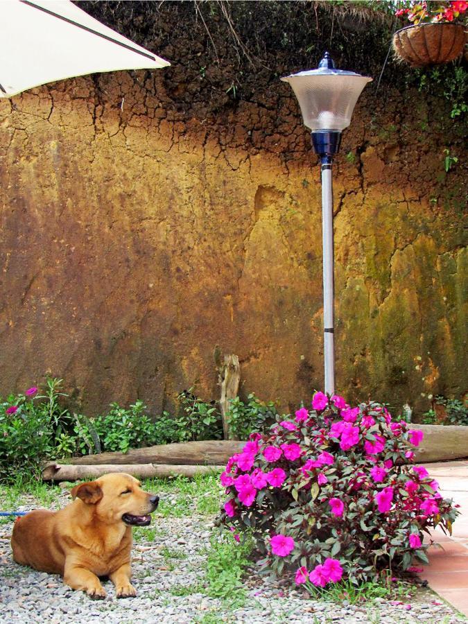 Vista Hermosa Eco Hostal Carmen de Viboral 外观 照片