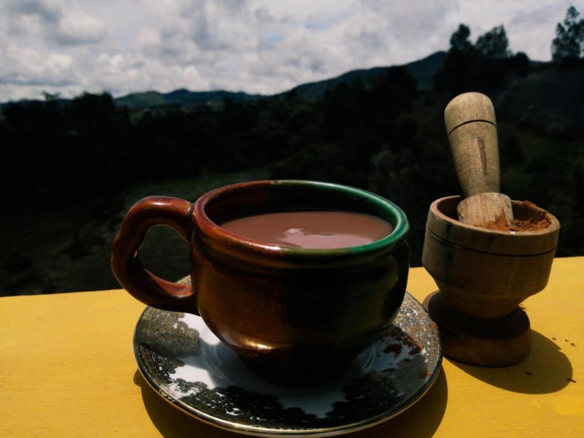 Vista Hermosa Eco Hostal Carmen de Viboral 外观 照片