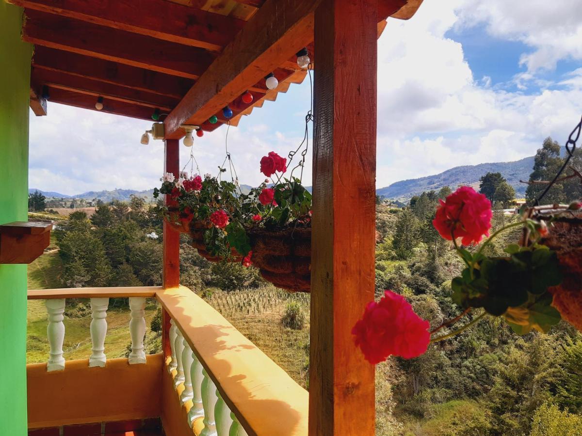 Vista Hermosa Eco Hostal Carmen de Viboral 外观 照片
