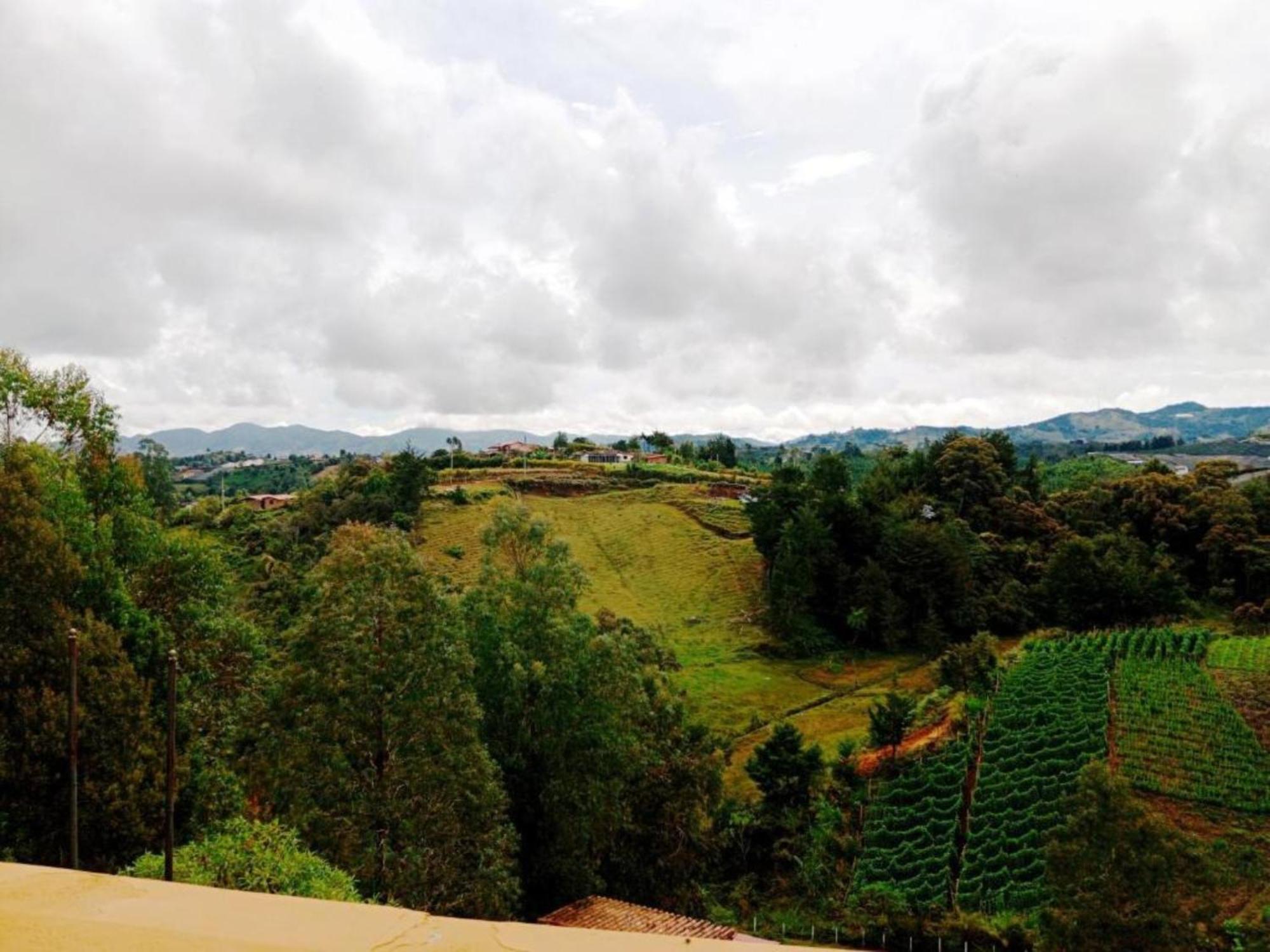 Vista Hermosa Eco Hostal Carmen de Viboral 客房 照片